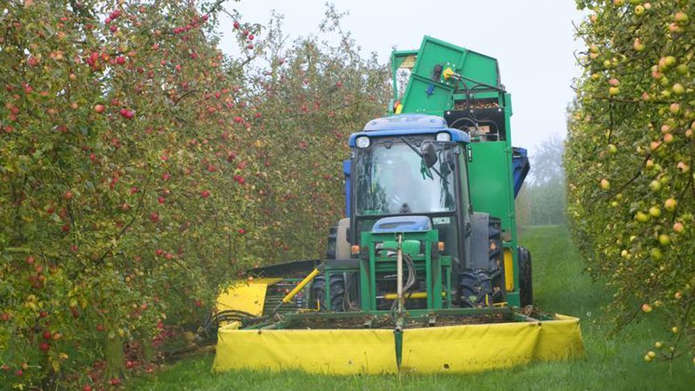 Visant le haut de gamme, la filière du cidre veut tripler les surfaces bio en quatre ans. © Unicid